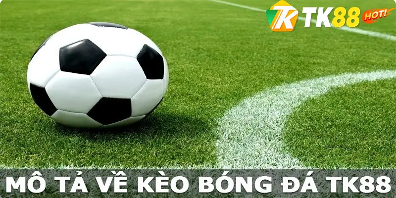 Mô tả về kèo bóng đá TK88